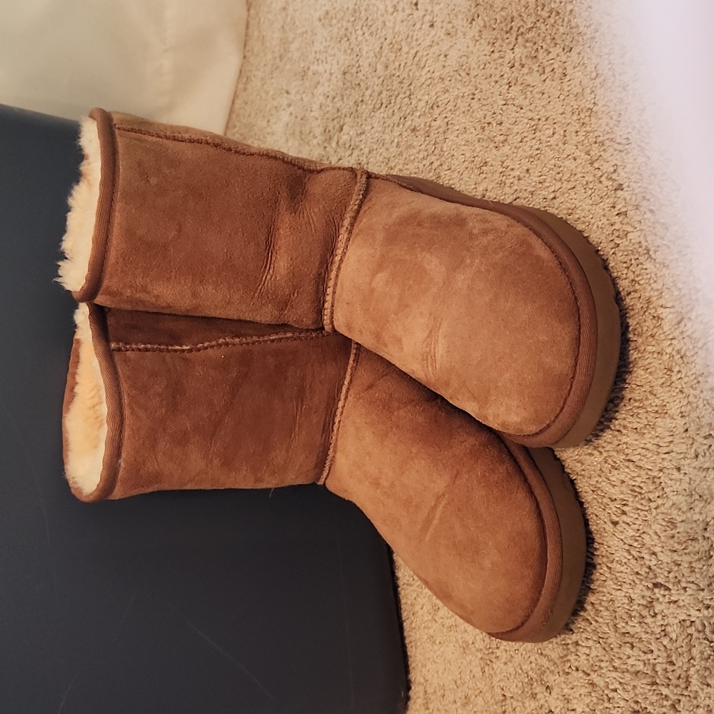 Ugg boots- classic short